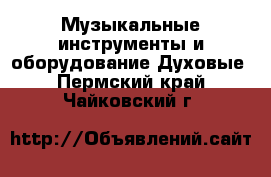 Музыкальные инструменты и оборудование Духовые. Пермский край,Чайковский г.